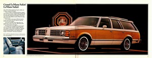 1978 Pontiac LeMans (Cdn)-14-15.jpg